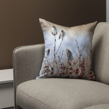 Pleedid ja sisustuspadjad