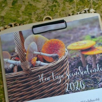 Hea tuju seenekalender